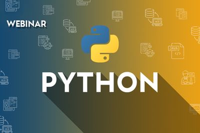 Python Programming Basics with Coding Examples